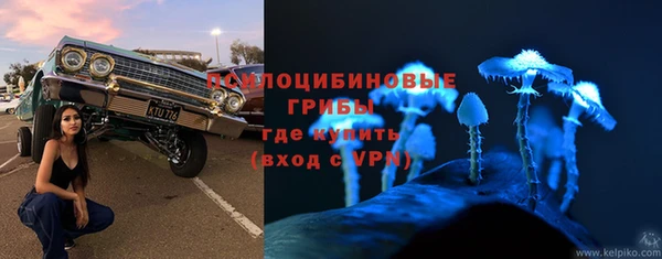 дурь Кукмор