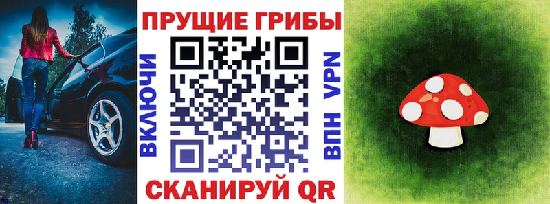закладка  Буинск  Псилоцибиновые грибы Magic Shrooms 